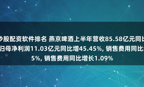 炒股配资软件排名 燕京啤酒上半年营收85.58亿元同比增6.37%, 归母净利润11.03亿元同比增45.45%, 销售费用同比增长1.09%